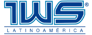 1WS